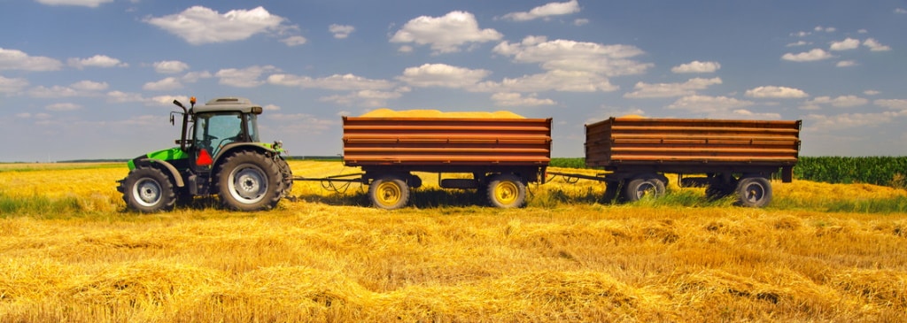 Das Agrarrecht ist eine Querschnittsdisziplin und beinhaltet Regelungen der Forstwirtschaft, Binnenfischerei und Jagd