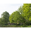 Geldern