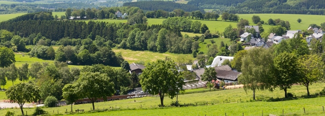 Finden Sie hier den passenden Anwalt für Versicherungsrecht in Rüsselsheim.