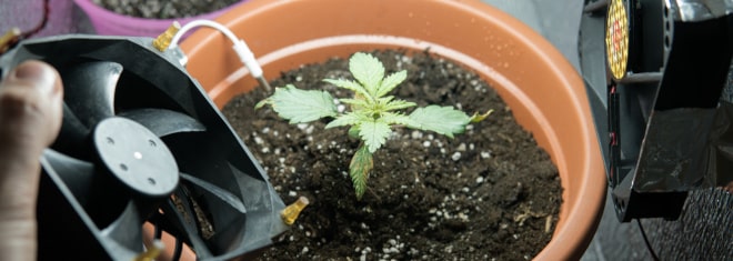 In diesem Ratgeber erfahren Sie, wie Sie einen Cannabis Social Club anmelden können.