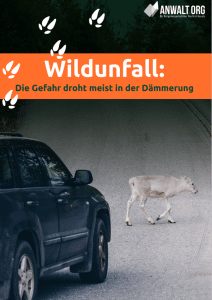 eBook Wildunfall