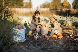 Kann ein Gesetz in der Lieferkette die Einhaltung der Menschenrechte und den Verbot von Kinderarbeit gewährleisten?