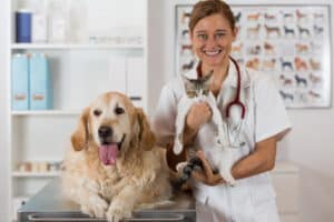 Eine Haustierversicherung kann zum Beispiel die Arztkosten übernehmen.