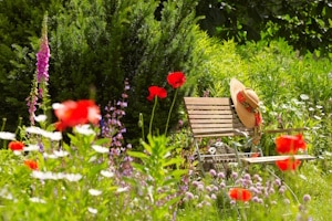 Kann man Hanf im Garten anbauen?