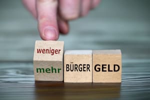 Neuerungen beim Bürgergeld gibt es 2025 nicht, SGB XII verhindert die Herabsetzung der Regelsätze.