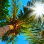 Reisemängel: Die Bilder im Katalog können teilweise erheblich von der Realität abweichen.