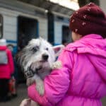 ukrainische Flüchtlinge mit Haustieren Beitragsbild