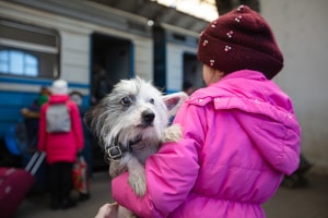 Deutschland hat die Einreise für ukrainische Flüchtlinge mit Haustieren vorübergehend erleichtert.
