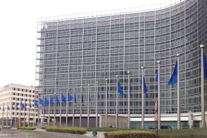 Das Wahlrecht greift auch bei der Wahl zum Europäischen Parlament.