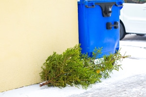 Ade Weihnachtsbaum: Ein Bußgeld kann für die illegale Entsorgung drohen.